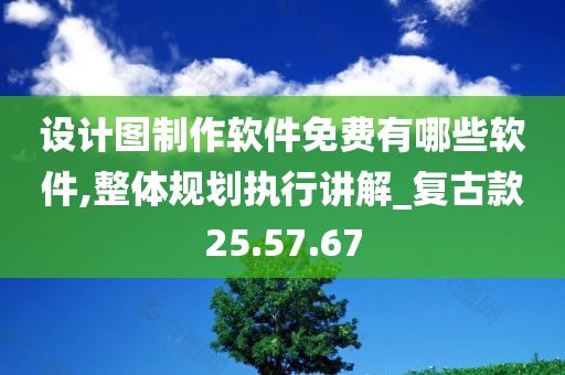 设计图制作软件免费有哪些软件,整体规划执行讲解_复古款25.57.67