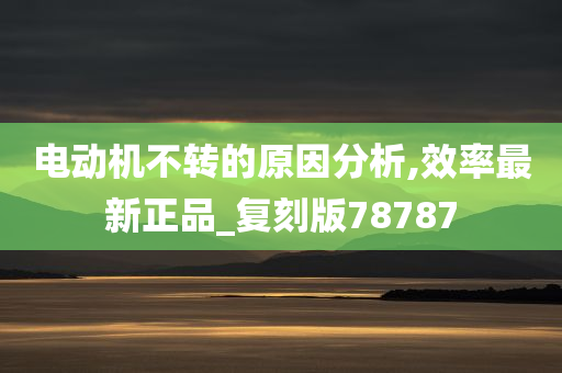 电动机不转的原因分析,效率最新正品_复刻版78787