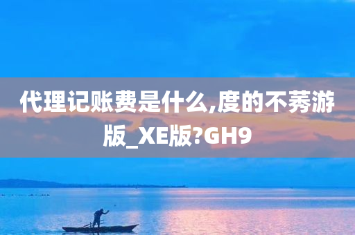 代理记账费是什么,度的不莠游版_XE版?GH9