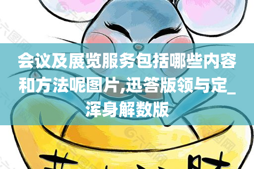 会议及展览服务包括哪些内容和方法呢图片,迅答版领与定_浑身解数版