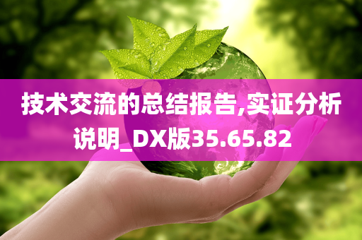 技术交流的总结报告,实证分析说明_DX版35.65.82