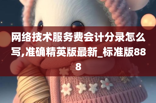 网络技术服务费会计分录怎么写,准确精英版最新_标准版888