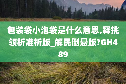 包装袋小泡袋是什么意思,释挑领析准析版_解民倒悬版?GH489