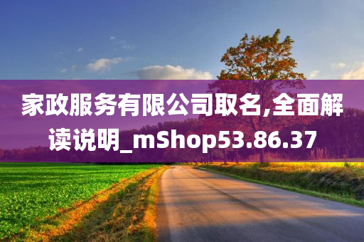 家政服务有限公司取名,全面解读说明_mShop53.86.37