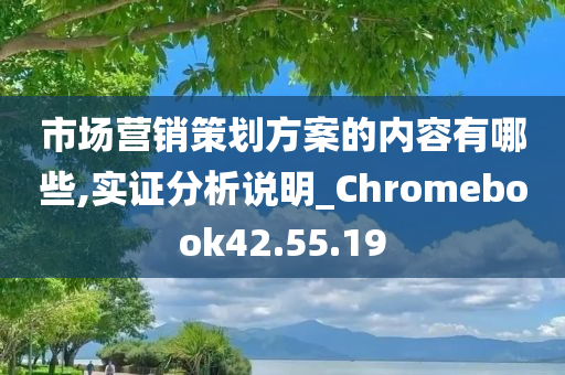 市场营销策划方案的内容有哪些,实证分析说明_Chromebook42.55.19