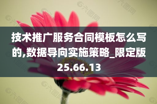 技术推广服务合同模板怎么写的,数据导向实施策略_限定版25.66.13