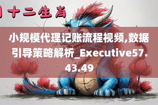 小规模代理记账流程视频,数据引导策略解析_Executive57.43.49