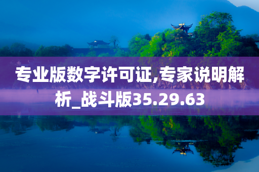 专业版数字许可证,专家说明解析_战斗版35.29.63