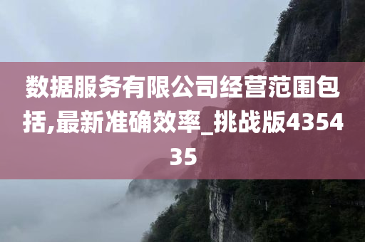 数据服务有限公司经营范围包括,最新准确效率_挑战版435435