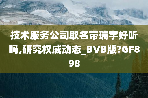 技术服务公司取名带瑞字好听吗,研究权威动态_BVB版?GF898