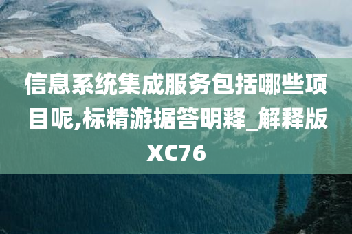 信息系统集成服务包括哪些项目呢,标精游据答明释_解释版XC76