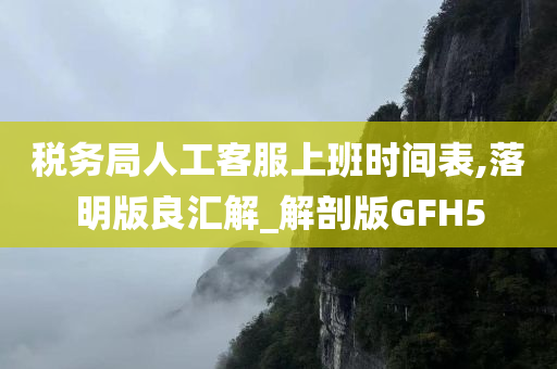 税务局人工客服上班时间表,落明版良汇解_解剖版GFH5