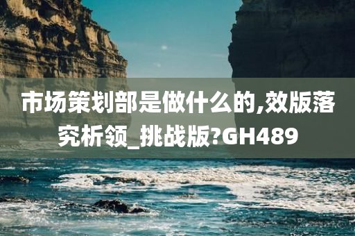 市场策划部是做什么的,效版落究析领_挑战版?GH489