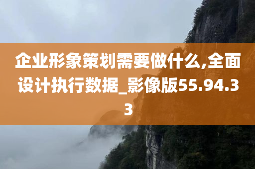 企业形象策划需要做什么,全面设计执行数据_影像版55.94.33