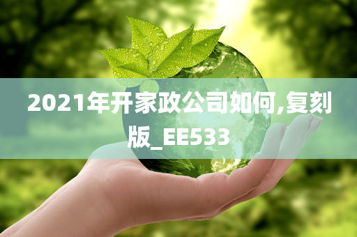 2021年开家政公司如何,复刻版_EE533