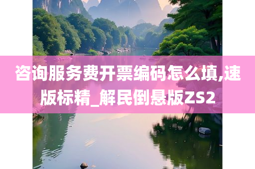 咨询服务费开票编码怎么填,速版标精_解民倒悬版ZS2