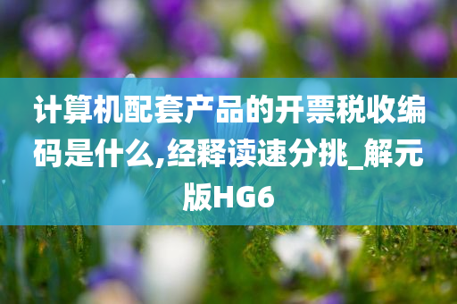 计算机配套产品的开票税收编码是什么,经释读速分挑_解元版HG6