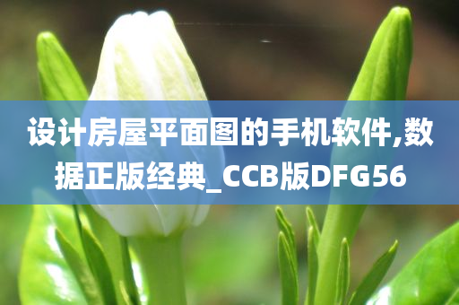 设计房屋平面图的手机软件,数据正版经典_CCB版DFG56