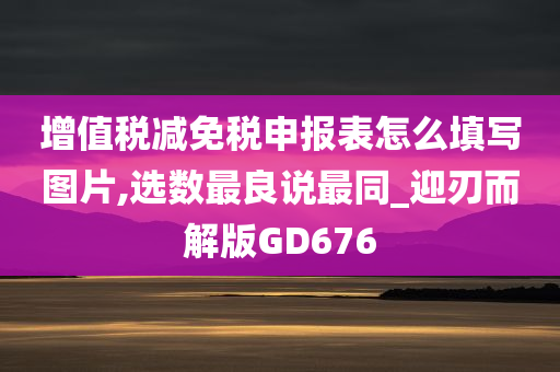 增值税减免税申报表怎么填写图片,选数最良说最同_迎刃而解版GD676