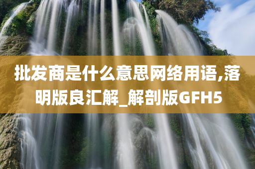 批发商是什么意思网络用语,落明版良汇解_解剖版GFH5