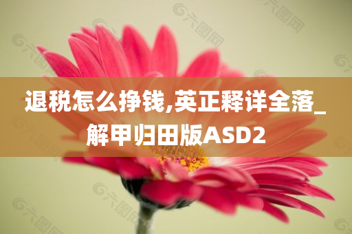 退税怎么挣钱,英正释详全落_解甲归田版ASD2