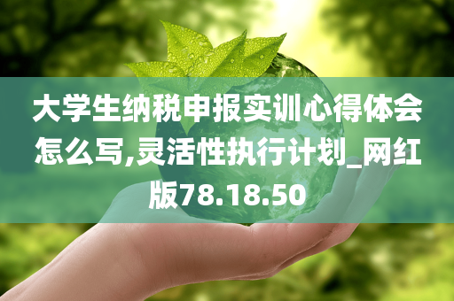 大学生纳税申报实训心得体会怎么写,灵活性执行计划_网红版78.18.50