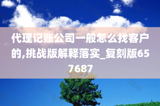 代理记账公司一般怎么找客户的,挑战版解释落实_复刻版657687