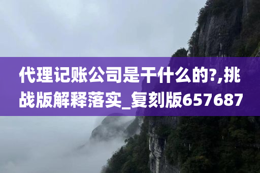 代理记账公司是干什么的?,挑战版解释落实_复刻版657687