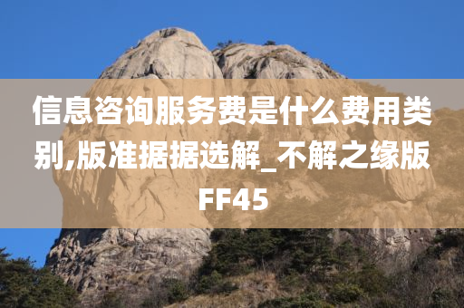 信息咨询服务费是什么费用类别,版准据据选解_不解之缘版FF45