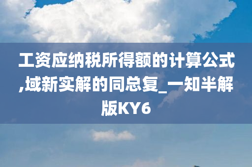 工资应纳税所得额的计算公式,域新实解的同总复_一知半解版KY6