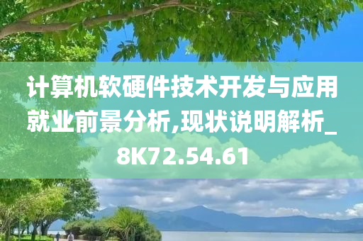 计算机软硬件技术开发与应用就业前景分析,现状说明解析_8K72.54.61