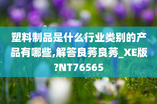 塑料制品是什么行业类别的产品有哪些,解答良莠良莠_XE版?NT76565