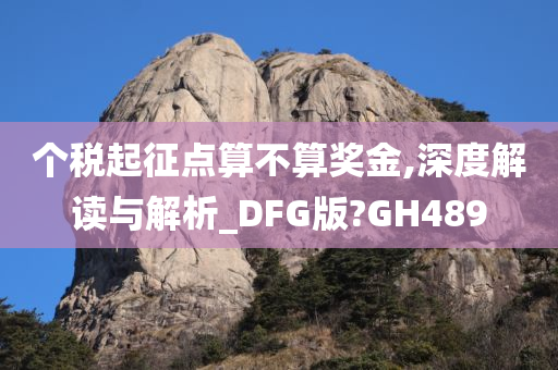 个税起征点算不算奖金,深度解读与解析_DFG版?GH489