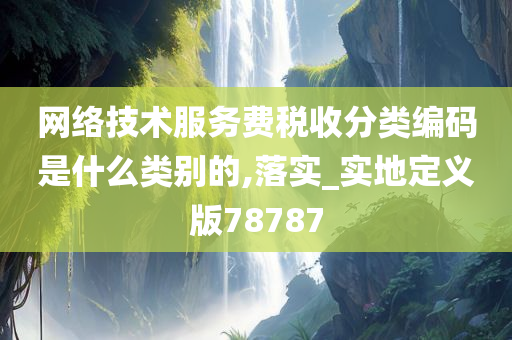 网络技术服务费税收分类编码是什么类别的,落实_实地定义版78787