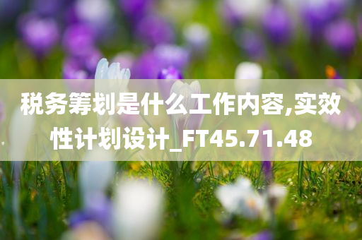 税务筹划是什么工作内容,实效性计划设计_FT45.71.48