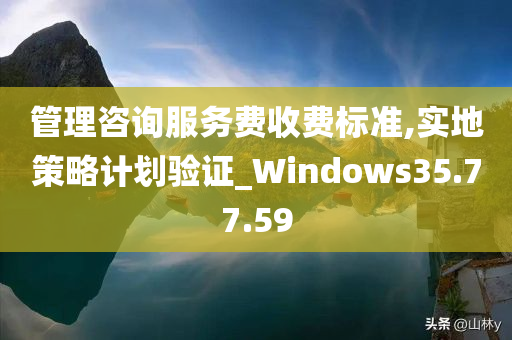 管理咨询服务费收费标准,实地策略计划验证_Windows35.77.59