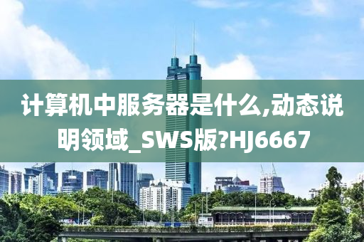 计算机中服务器是什么,动态说明领域_SWS版?HJ6667