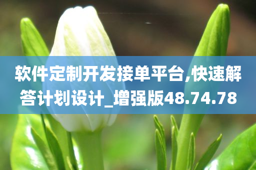 软件定制开发接单平台,快速解答计划设计_增强版48.74.78