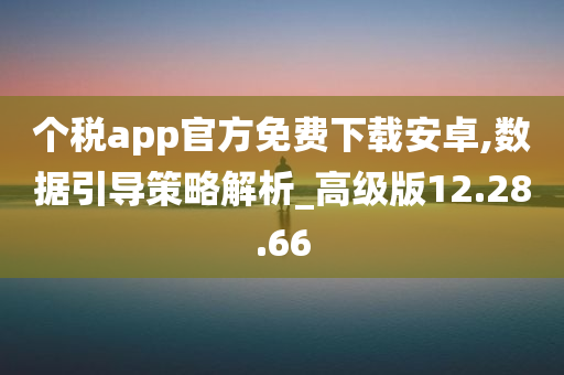 个税app官方免费下载安卓,数据引导策略解析_高级版12.28.66