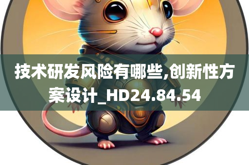 技术研发风险有哪些,创新性方案设计_HD24.84.54