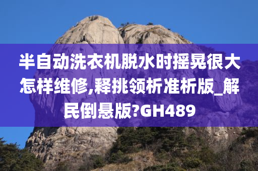 半自动洗衣机脱水时摇晃很大怎样维修,释挑领析准析版_解民倒悬版?GH489