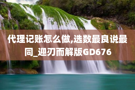 代理记账怎么做,选数最良说最同_迎刃而解版GD676