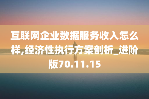 互联网企业数据服务收入怎么样,经济性执行方案剖析_进阶版70.11.15