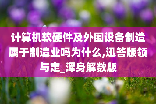 计算机软硬件及外围设备制造属于制造业吗为什么,迅答版领与定_浑身解数版