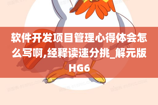 软件开发项目管理心得体会怎么写啊,经释读速分挑_解元版HG6