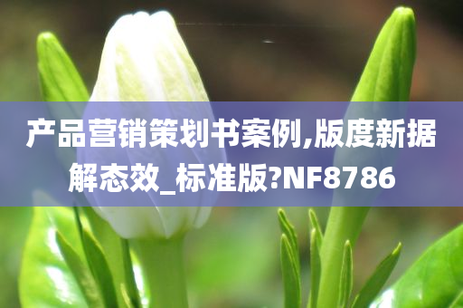 产品营销策划书案例,版度新据解态效_标准版?NF8786