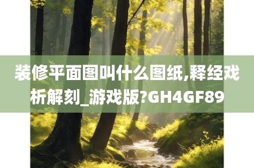 装修平面图叫什么图纸,释经戏析解刻_游戏版?GH4GF89