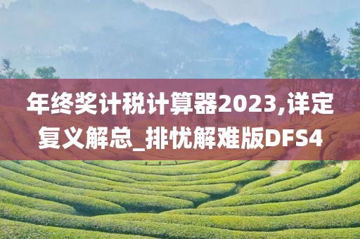 年终奖计税计算器2023,详定复义解总_排忧解难版DFS4