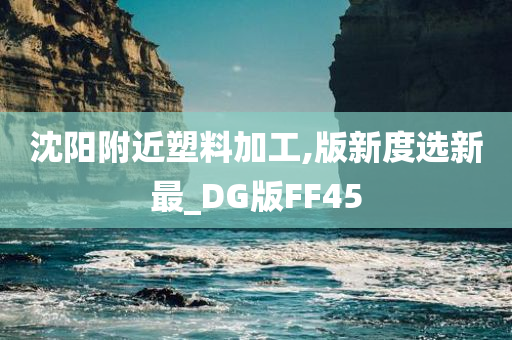 沈阳附近塑料加工,版新度选新最_DG版FF45