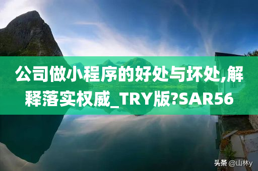 公司做小程序的好处与坏处,解释落实权威_TRY版?SAR56